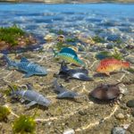 890712-MLA103995756673_012026