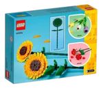 923355-MLA83206048796_042025