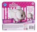 763548-MLA70043988098_062023