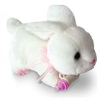 978313-MLA70043988092_062023