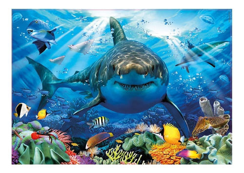 986099-MLA70415506098_072023