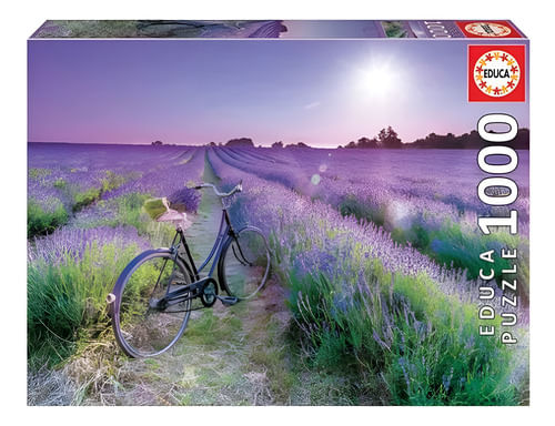 819077-MLA80279657281_102024