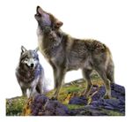 916134-MLA74830036035_022024