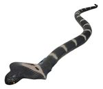 726684-MLA103848932532_012026