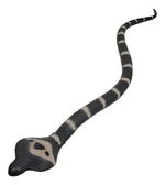 740396-MLA103849260484_012026