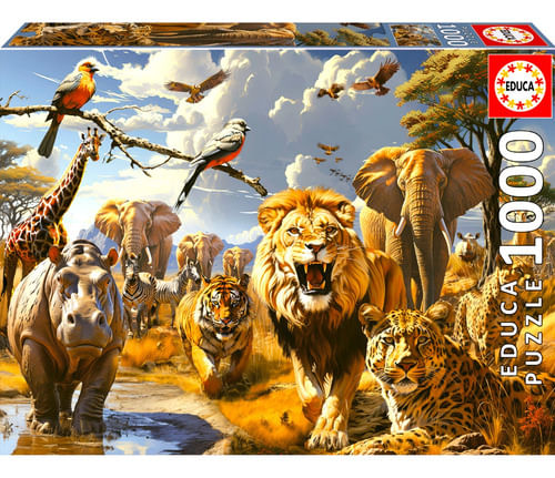 760058-MLA77092441115_062024