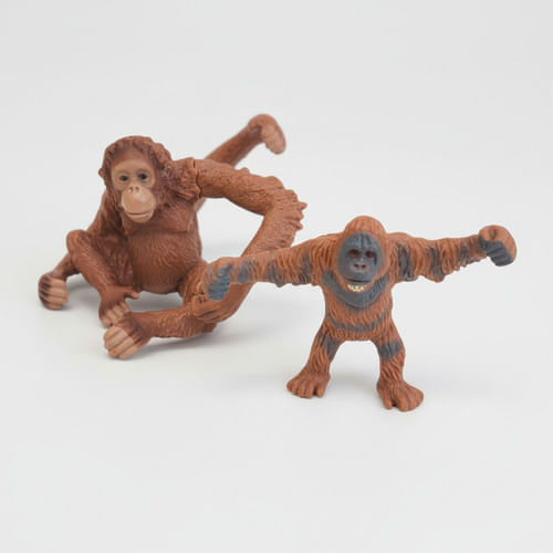 843162-MLA104120089518_012026