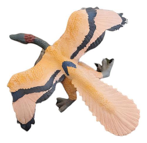 731629-MLA104764967635_012026