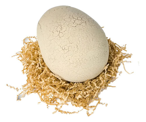 824416-MLA98975295751_112025