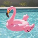 639883-MLA98735819728_112025