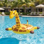 867394-MLA98739505066_112025