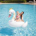 921311-MLA99224978119_112025