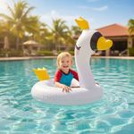 812560-MLA98923605628_112025