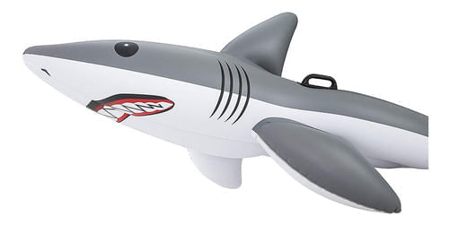 830447-MLA32968483944_112019