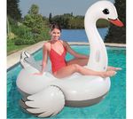 915784-MLA70135376430_062023