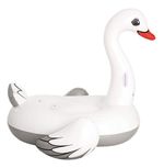 603771-MLA70135376440_062023