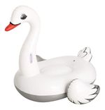 986076-MLA70135376428_062023