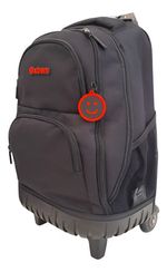 732960-MLA106414385055_022026